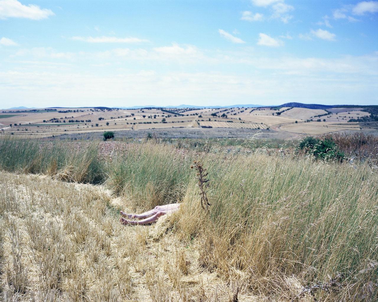 © Sherman Ong | Sunbather from the series “Spurious Landscapes” | Archival digital print on fine art paper
