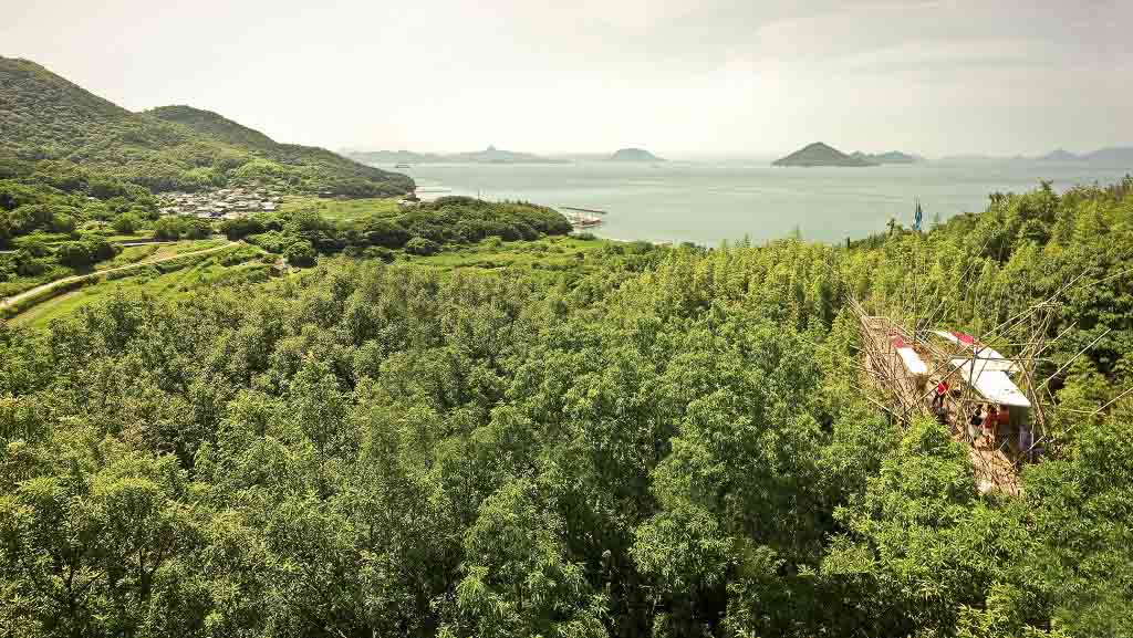 Article_Photo_ArtAndOnly_DougandMikeStarn_FishingBoatInTheCanopy_Japan