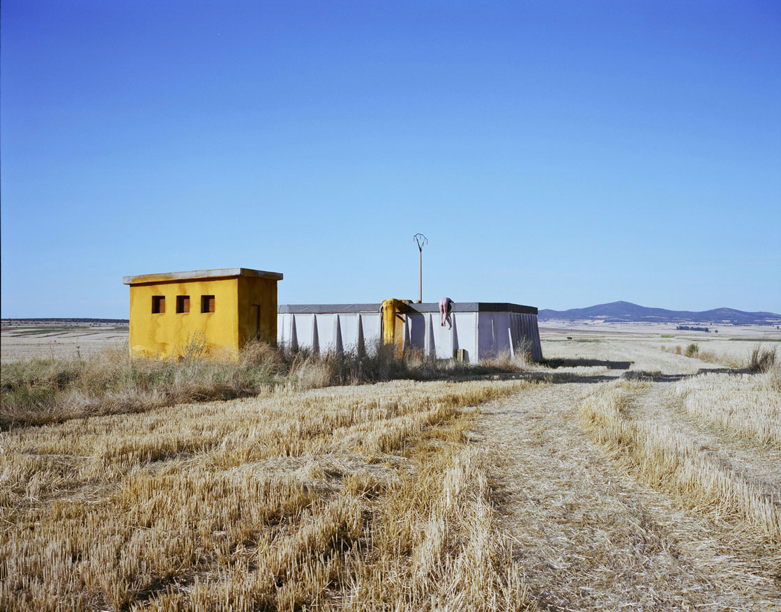 Article_Photo_ArtAndOnly_ShermanONG_Artwork_FromtheSeriesSpuriousLandscapes