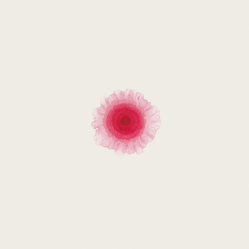 Nan Qi’s Dot 2014-2