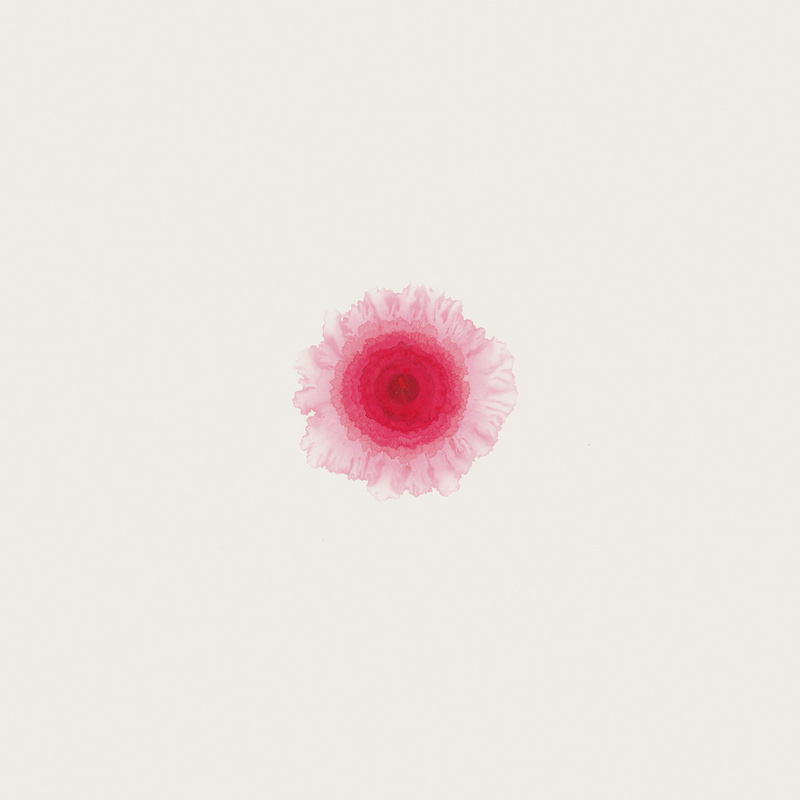 Nan Qi’s Dot 2014-2