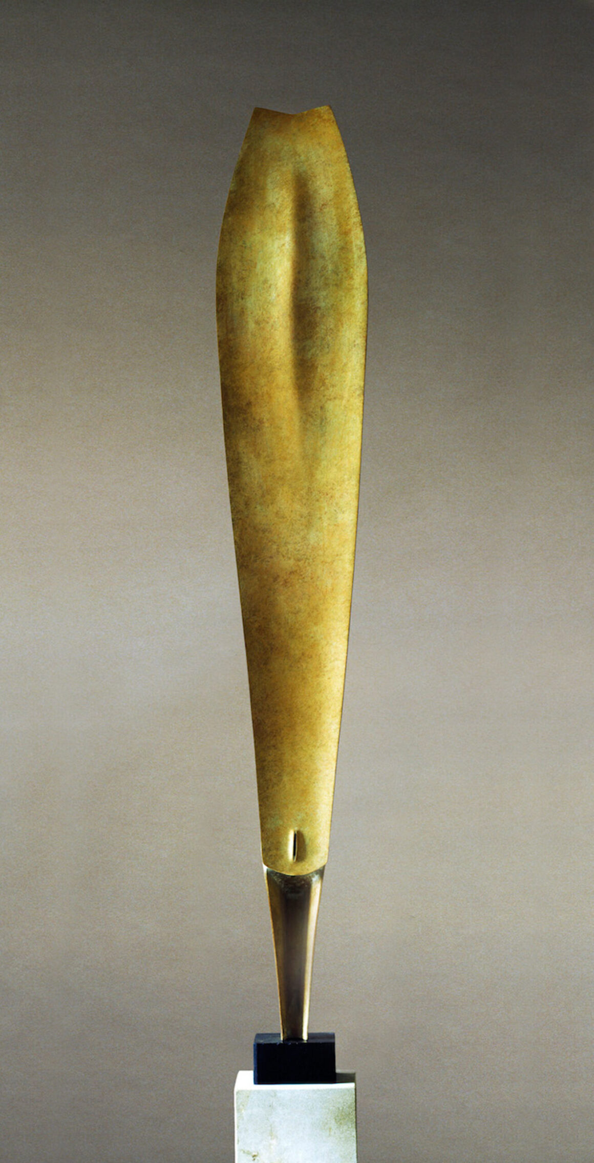 Le Regard Antérieur II