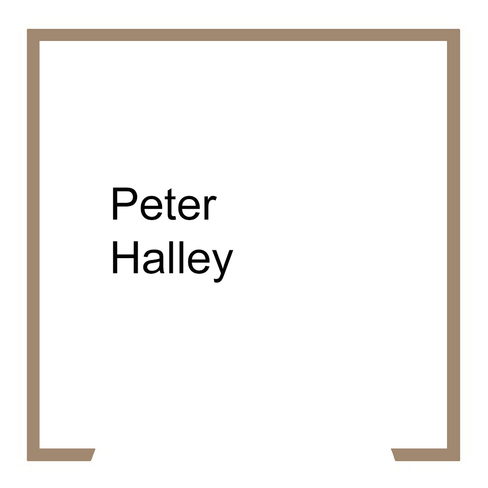 Peter Halley