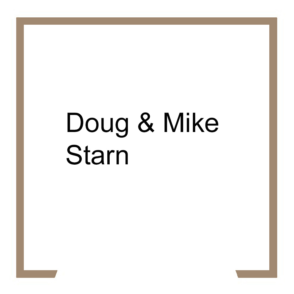 Doug & Mike Starn
