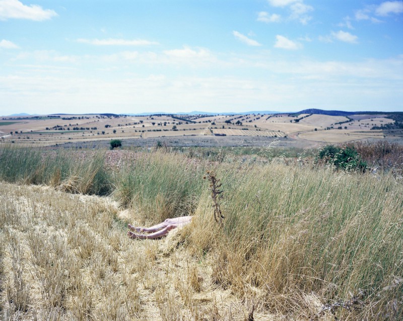 SPURIOUS STORIES FROM THE LAND AND WATER