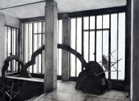 Hypothetical Arrangement for Haus Wittgenstein #2