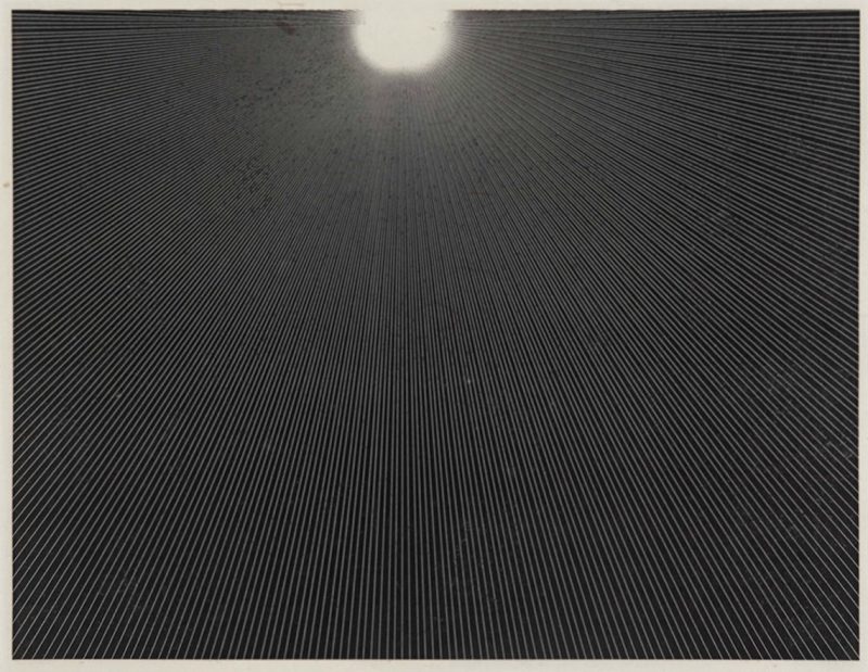 Art Brussels Profile II: Artist Marsha Cottrell’s Spectral Series