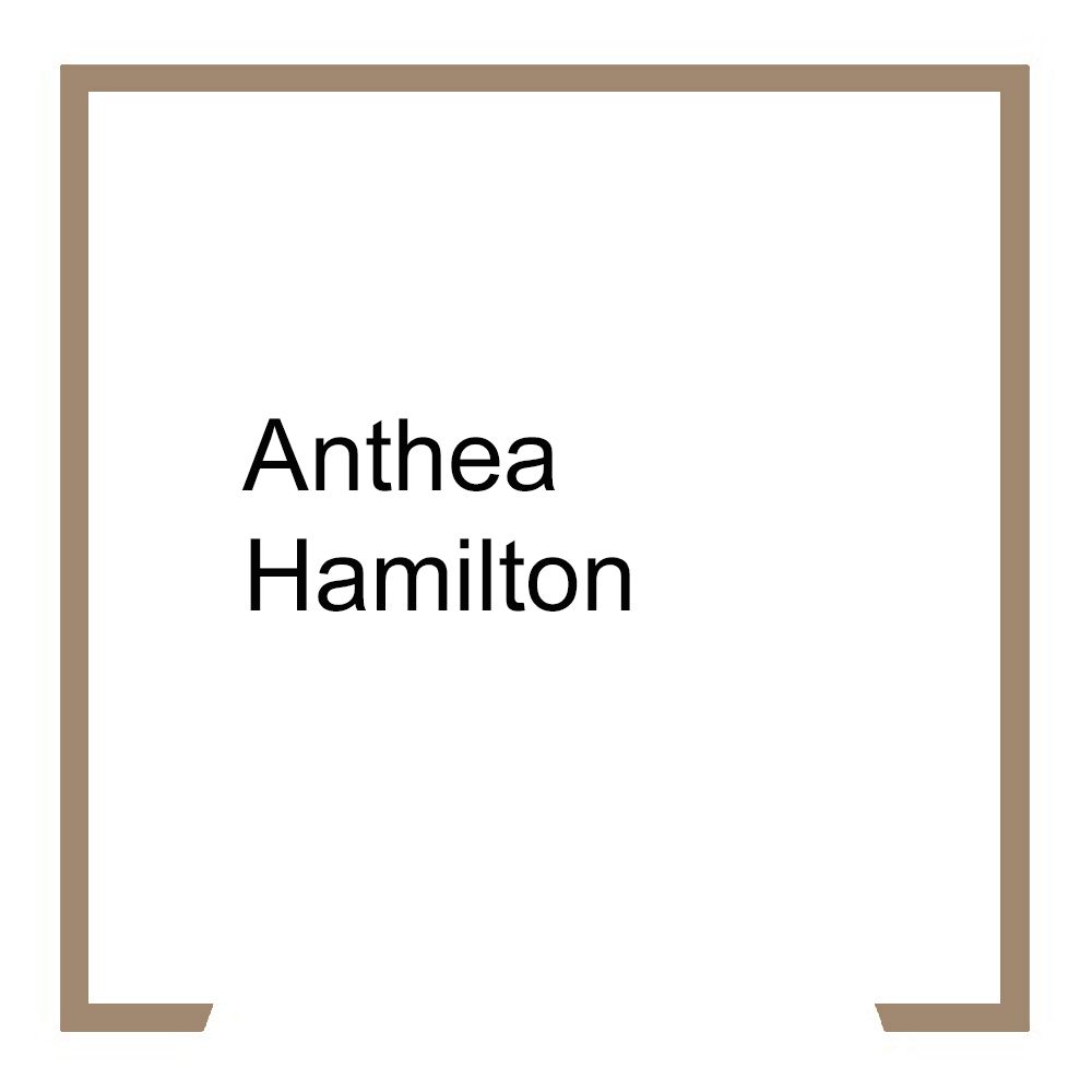 Anthea Hamilton