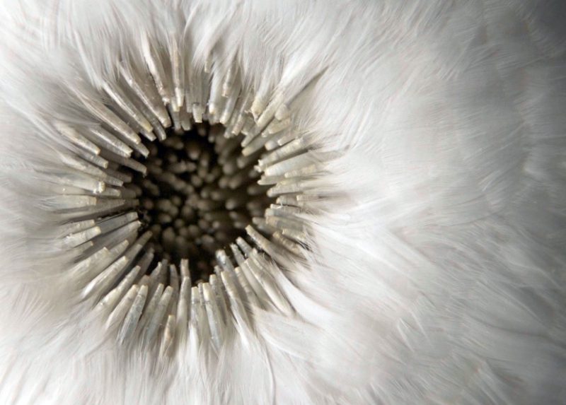 Kate MccGwire’s Scissure to open in Paris